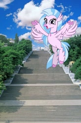 Size: 720x1095 | Tagged: safe, silverstream, hippogriff, pony, g4, female, happy, irl, odessa, photo, ponies in real life, potemkin stairs, stairs, that hippogriff sure does love stairs, ukraine