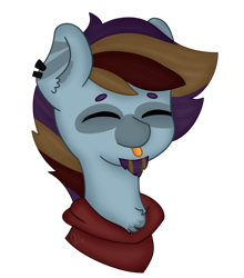 Size: 1016x1154 | Tagged: safe, artist:embermare, artist:emberstoneeqf, oc, oc only, oc:mlem, pony, bust, clothes, hoodie, male, portrait, simple background, solo, stallion, transparent background