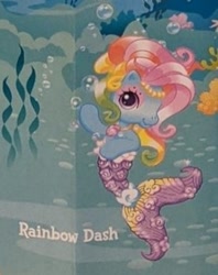 Size: 247x312 | Tagged: safe, rainbow dash (g3), earth pony, mermaid, merpony, pony, g3, g3.5, official, accessory, blind bag, eyeshadow, fish tail, headband, jewelry, low quality, makeup, mermaid tail, mermaidized, name tag, necklace, pose, rainbow dash always dresses in style, solo, species swap, tail, toy