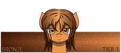 Size: 2300x1000 | Tagged: safe, artist:template93, oc, oc only, oc:bronze, pony, banner, female, messy mane, patreon, simple background, smiling, solo, text, transparent background