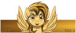 Size: 2300x1000 | Tagged: safe, artist:template93, oc, oc only, oc:gold, pegasus, pony, banner, female, patreon, simple background, smiling, solo, text, transparent background