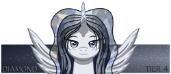 Size: 2300x1000 | Tagged: safe, artist:template93, oc, oc only, oc:diamond, alicorn, pony, banner, female, patreon, simple background, smug, solo, text, transparent background
