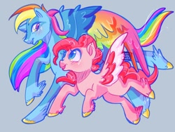 Size: 800x600 | Tagged: safe, artist:erieillustrates, pinkie pie, rainbow dash, pegasus, pony, g4, blue background, colored wings, feathered fetlocks, female, g5 concept leaks, lesbian, multicolored wings, pegasus pinkie pie, pinkie pie (g5 concept leak), race swap, rainbow dash (g5 concept leak), ship:pinkiedash, shipping, simple background, unshorn fetlocks, wings