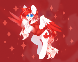 Size: 2506x2002 | Tagged: safe, artist:babiiclouds, artist:cofiiclouds, oc, oc only, oc:making amends, pegasus, pony, clothes, colored wings, high res, hoodie, patreon, patreon reward, solo, two toned wings, wings