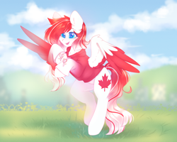 Size: 2506x2002 | Tagged: safe, alternate version, artist:babiiclouds, artist:cofiiclouds, oc, oc only, oc:making amends, pegasus, pony, clothes, colored wings, high res, hoodie, patreon, patreon reward, solo, two toned wings, wings