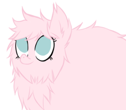 Size: 686x595 | Tagged: safe, artist:alandisc, oc, oc only, oc:fluffle puff, earth pony, pony, chest fluff, ear fluff, female, fluffy, looking up, no pupils, simple background, solo, white background