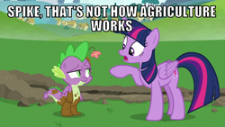 Size: 1066x600 | Tagged: safe, edit, edited screencap, editor:twi clown, screencap, spike, twilight sparkle, alicorn, dragon, pony, father knows beast, g4, my little pony: friendship is magic, agriculture, caption, dirty, duo, female, flower, image macro, male, mare, text, twilight sparkle (alicorn), winged spike, wings