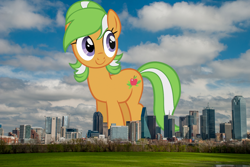Size: 1280x857 | Tagged: safe, artist:sarxis, artist:thegiantponyfan, apple leaves, earth pony, pony, g4, apple family member, background pony, dallas, female, giant pony, giant/macro earth pony, giantess, highrise ponies, irl, macro, mare, mega giant, multicolored mane, multicolored tail, photo, ponies in real life, smiling, story included, tail, texas