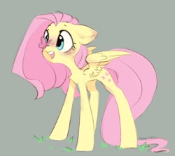 Size: 1008x895 | Tagged: safe, artist:melodylibris, fluttershy, butterfly, pegasus, pony, blushing, butterfly on nose, chest fluff, cross-eyed, cute, female, floppy ears, insect on nose, looking at something, mare, open mouth, open smile, shyabetes, simple background, smiling, solo, spread wings, wings