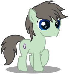 Size: 2748x2979 | Tagged: safe, artist:strategypony, oc, oc only, oc:paradox, earth pony, pony, colt, foal, high res, male, simple background, solo, transparent background, younger
