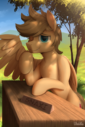 Size: 2571x3818 | Tagged: safe, artist:uliovka, oc, oc only, pegasus, pony, drool, grass, grass field, high res, looking at you, male, scenery, smiling, tree