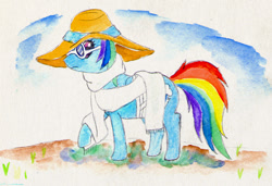 Size: 800x547 | Tagged: safe, artist:metalponyfan, rainbow dash, pegasus, pony, g4, bandage, bandaged wing, clothes, hat, scarf, solo, sunglasses, traditional art, watercolor painting, wings