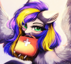 Size: 4300x3900 | Tagged: safe, artist:krissstudios, oc, oc only, oc:eagle fly, pegasus, pony, absurd file size, female, first aid kit, mare, medic, mouth hold, pegasus oc, solo
