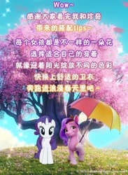 Size: 1080x1476 | Tagged: safe, pipp petals, rarity, pegasus, pony, unicorn, g4, g5, my little pony: a new generation, official, 2d, 3d, adorapipp, cherry blossoms, cherry tree, china, chinese, cute, flower, flower blossom, friendly, grass, joyful, looking at you, pink, pipp and her heroine, salvaged, smiling, smiling at you, sparkles, standing, together, tree, umbrella, weibo, weixin