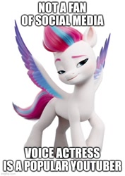 Size: 500x707 | Tagged: safe, zipp storm, pegasus, pony, g5, caption, colored wings, female, image macro, irony, liza koshy, mare, meme, raised hoof, simple background, smiling, solo, spread wings, text, white background, wings