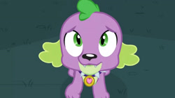 Size: 3410x1920 | Tagged: safe, screencap, spike, spike the regular dog, dog, equestria girls, g4, my little pony equestria girls: friendship games, high res, male, solo, unleash the magic