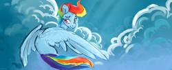 Size: 2900x1200 | Tagged: safe, artist:megalura, rainbow dash, pegasus, pony, g4, cloud, female, flying, mare, signature, sky, solo