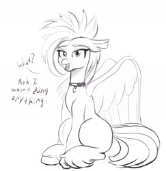 Size: 1489x1533 | Tagged: safe, artist:cosmonaut, oc, oc only, oc:giselle, classical hippogriff, hippogriff, female, grayscale, looking at you, monochrome, simple background, sitting, sketch, solo, talking to viewer, white background