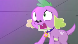 Size: 3410x1920 | Tagged: safe, screencap, spike, spike the regular dog, dog, equestria girls, g4, my little pony equestria girls: friendship games, high res, male, open mouth, solo