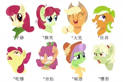Size: 1664x1113 | Tagged: safe, artist:luansh, apple bloom, apple bumpkin, apple dumpling, apple leaves, apple rose, applejack, auntie applesauce, granny smith, earth pony, pony, g4, apple family member, bow, chinese, emotional spectrum, facial freckles, female, filly, foal, freckles, hair bow, headband, mare, neckerchief, simple background, white background, young granny smith, younger