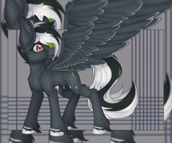 Size: 1024x850 | Tagged: safe, artist:maneblue, oc, oc only, pegasus, pony, ear fluff, eyepatch, looking back, pegasus oc, solo, unshorn fetlocks, zoom layer