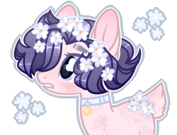 Size: 1408x1078 | Tagged: safe, artist:toffeelavender, oc, oc only, earth pony, pony, base used, bust, collar, earth pony oc, eyelashes, female, flower, flower in hair, mare, simple background, solo, transparent background