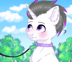 Size: 1770x1534 | Tagged: safe, artist:arllistar, oc, oc only, oc:haze rad, pony, unicorn, :t, blushing, cheek fluff, collar, commission, commissioner:biohazard, cute, detailed background, ear fluff, eyebrows, highlights, horn, leash, looking at someone, looking at something, male, pet play, pony pet, purple eyes, question mark, solo, stallion, unicorn oc, ych result