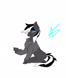 Size: 2534x2988 | Tagged: safe, artist:daringspeed, oc, oc only, oc:kenn, earth pony, pony, clothes, high res, hoodie, male, simple background, solo, stallion, white background
