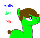 Size: 130x122 | Tagged: artist needed, safe, oc, oc only, oc:salty jet ski, earth pony, pony, blue eyes, brown mane, earth pony oc, male, picture for breezies, simple background, smiling, solo, stallion, tail, text, white background