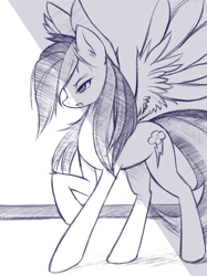 Size: 593x794 | Tagged: source needed, safe, artist:fajeh, rainbow dash, pegasus, pony, g4, female, grayscale, mare, monochrome, simple background, solo