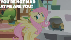 Size: 1280x720 | Tagged: safe, edit, edited screencap, editor:quoterific, screencap, fluttershy, pegasus, pony, baby cakes, g4, season 2, female, fluttershy's cottage, mare, solo, spread wings, text, wings