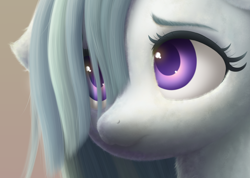Size: 1592x1136 | Tagged: safe, artist:symbianl, marble pie, earth pony, pony, g4, cheek fluff, close-up, colored pupils, cute, ear fluff, female, floppy ears, fluffy, hair over one eye, marblebetes, mare, neck fluff, shy, solo