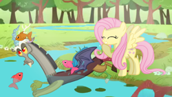 Size: 1280x720 | Tagged: safe, artist:mlplary6, discord, fluttershy, draconequus, fish, pegasus, pony, g4, angry, female, laughing, male, mare, river, ship:discoshy, shipping, straight, water