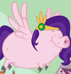 Size: 439x457 | Tagged: safe, edit, edited screencap, screencap, pipp petals, flying pig, pig, g4, g5, my little pony: tell your tale, the return of harmony, animal, cloven hooves, eyes closed, female, pig petals, pigified, solo, species swap