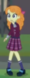 Size: 341x873 | Tagged: safe, screencap, orange sherbette, equestria girls, g4, my little pony equestria girls: friendship games, blurry, clothes, cropped, crystal prep academy uniform, op i can't see shit, school uniform, solo