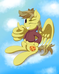 Size: 1959x2421 | Tagged: safe, artist:itchystomach, oc, oc only, pegasus, pony, clothes, cloud, hoodie, one eye closed, simple background, sitting, sky, solo, thumbs up, wing hands, wings, wink