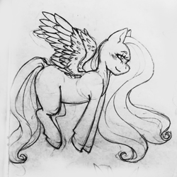 Size: 1446x1446 | Tagged: safe, artist:natt333, fluttershy, pegasus, pony, g4, doodle, sketch, solo