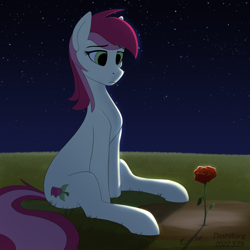 Size: 2600x2600 | Tagged: safe, artist:dash wang, roseluck, earth pony, pony, g4, female, flower, grass, grass field, high res, moonlight, night, rose, solo