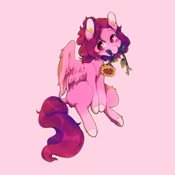Size: 2479x2479 | Tagged: safe, artist:boorakun, oc, oc only, pegasus, pony, female, flower, high res, mare, mouth hold, pink background, ponysona, simple background, solo, sunflower