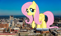 Size: 1920x1127 | Tagged: safe, artist:kysss90, artist:thegiantponyfan, fluttershy, pegasus, pony, g4, female, giant pegasus, giant pony, giantess, giantshy, highrise ponies, indiana, indianapolis, irl, looking at you, macro, mare, mega giant, photo, ponies in real life, raised hoof, smiling, story included