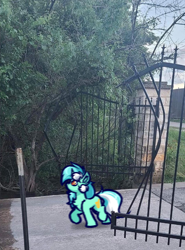 Size: 916x1235 | Tagged: safe, artist:witchtaunter, lyra heartstrings, pony, unicorn, g4, chest fluff, cute, destruction, ear fluff, irl, l.u.l.s., lyrabetes, meme, photo, ponies in real life, ponified, ponified animal photo, ponified meme, solo