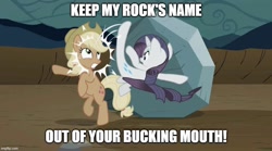 Size: 898x500 | Tagged: safe, artist:mlpfan3991, edit, edited screencap, screencap, applejack, rarity, tom, earth pony, pony, unicorn, g4, the return of harmony, abuse, caption, chris rock, discorded, female, fight, image macro, keep my wife's name out of your mouth, meme, oscars, parody, ponified meme, rock, text, will smith, will smith slapping chris rock
