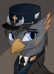 Size: 1732x2362 | Tagged: safe, artist:qwq2233, oc, oc only, griffon, equestria at war mod, blue eyes, bust, cap, cheek fluff, clothes, hat, necktie, portrait, solo, white shirt