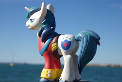 Size: 4608x3072 | Tagged: safe, artist:dingopatagonico, shining armor, pony, unicorn, g4, butt, irl, male, photo, plot, stallion, toy