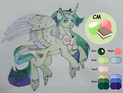 Size: 1280x960 | Tagged: safe, artist:stormcloud-yt, oc, oc only, alicorn, pony, alicorn oc, colored wings, horn, reference sheet, simple background, solo, traditional art, two toned wings, unshorn fetlocks, wings