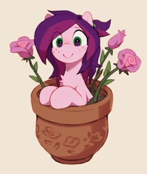 Size: 1603x1897 | Tagged: safe, artist:orchidpony, oc, oc only, oc:rose shelf, earth pony, pony, flower, flower pot, freckles, looking at you, plant pot, rose, simple background, smiling, solo