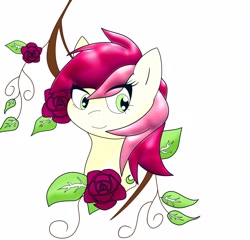 Size: 2048x1962 | Tagged: safe, artist:zeon_starlight, roseluck, earth pony, pony, g4, bust, eye clipping through hair, female, flower, leaf, mare, portrait, rose, simple background, solo, white background