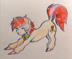 Size: 1600x1302 | Tagged: safe, artist:13pw, roseluck, pony, g4, behaving like a cat, collar, commission, commissioner:doom9454, cute, pet tag, pony pet, rosepet, stretching, traditional art