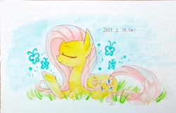 Size: 1989x1281 | Tagged: safe, artist:yukkuri_yu_yu, fluttershy, butterfly, pegasus, pony, g4, 2021, eyes closed, female, grass, mare, raised hoof, side view, sitting, solo, traditional art