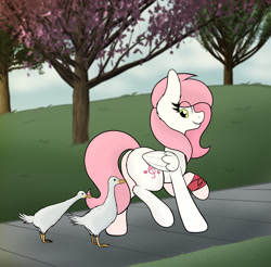 Size: 2282x2250 | Tagged: safe, artist:aaathebap, oc, oc:sugar morning, bird, duck, pegasus, pony, high res, park, solo, walking